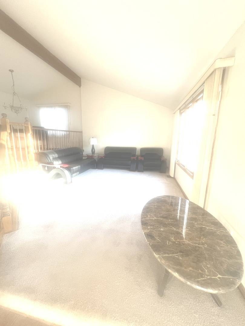 14913 Sheila CT, Oak Forest, IL 60452