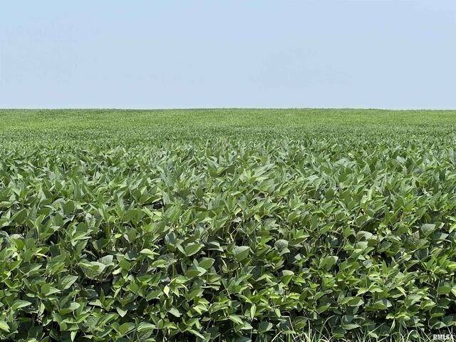 0 140th AVE, Donahue, IA 52746