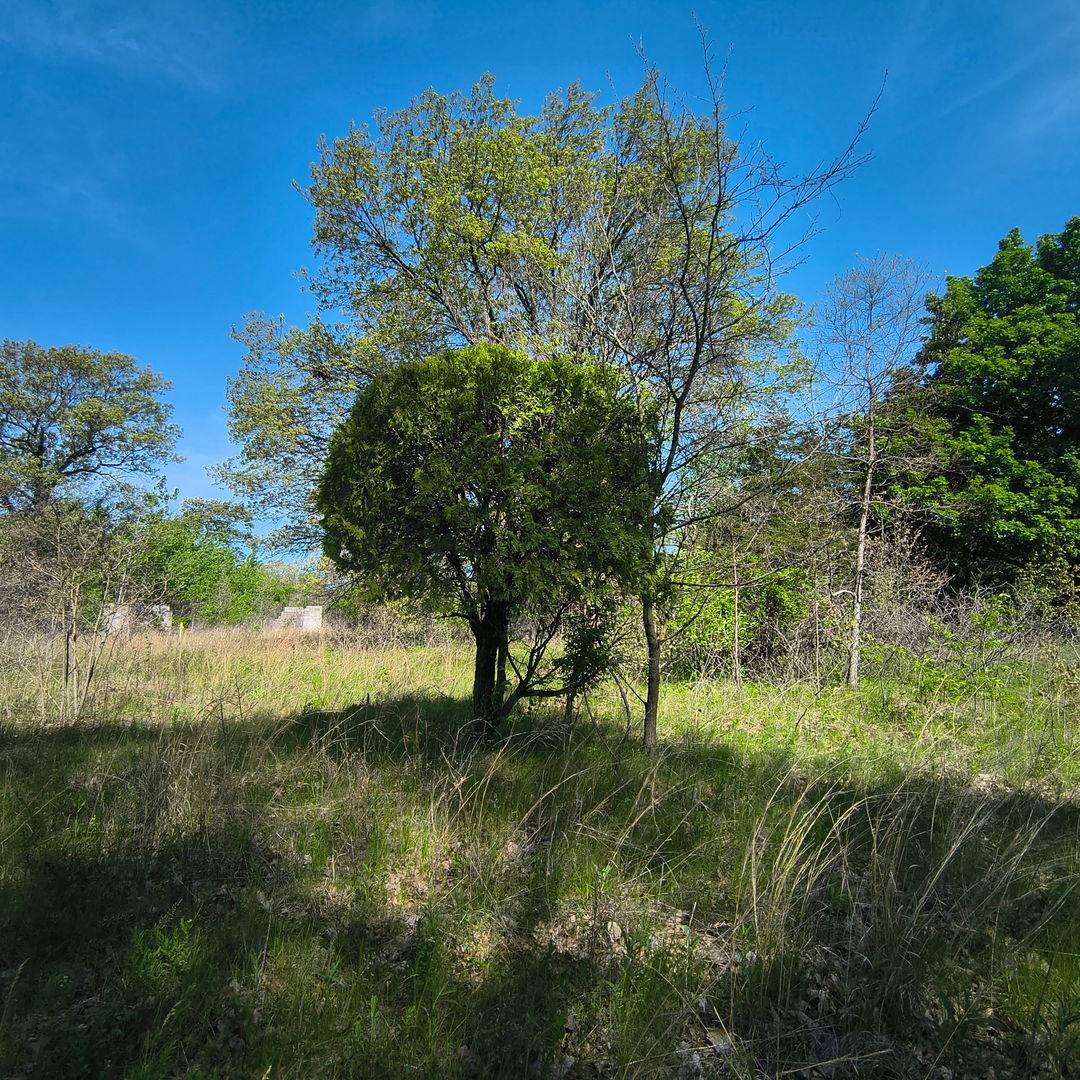 2240 S 15000 RD E, Pembroke Twp, IL 60958