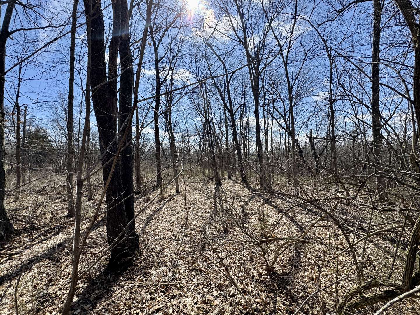 0 1725 E ST, Tiskilwa, IL 61368