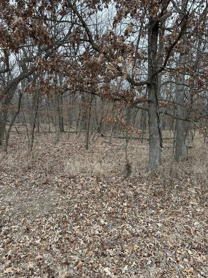 Lot 24 S Eagle Chase DR, Seneca, IL 61360
