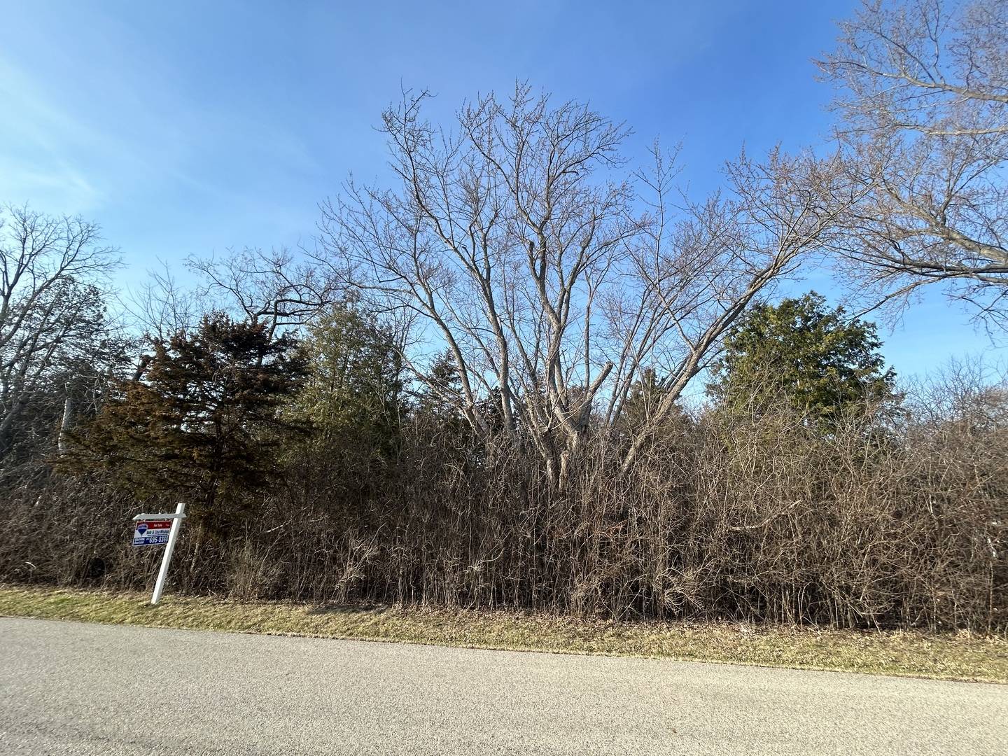 Lot 16 Harding AVE, Richmond, IL 60071