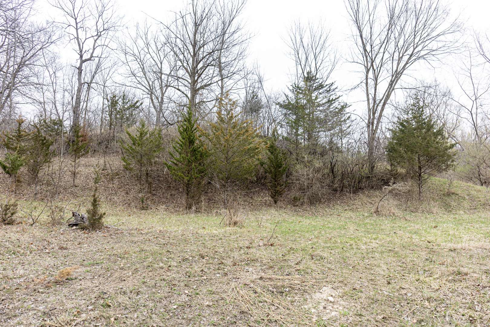 LOT 19 & LOT 18 Williams RD, Lake Marian, IL 60110