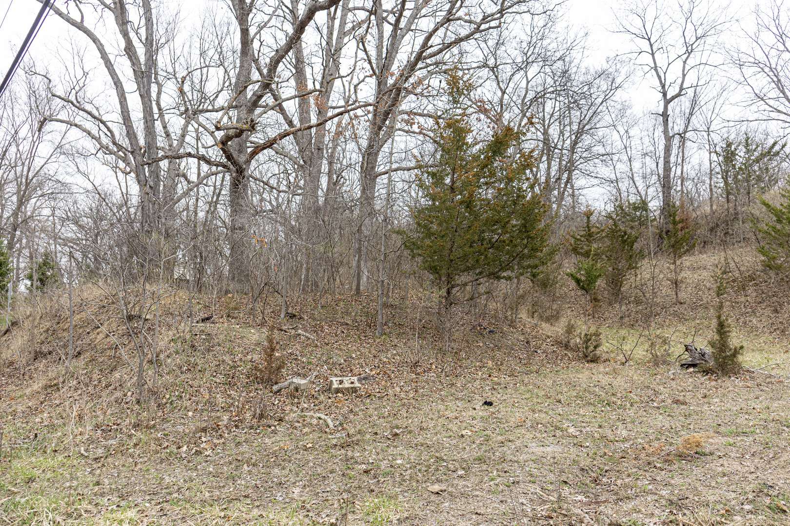 LOT 19 & LOT 18 Williams RD, Lake Marian, IL 60110