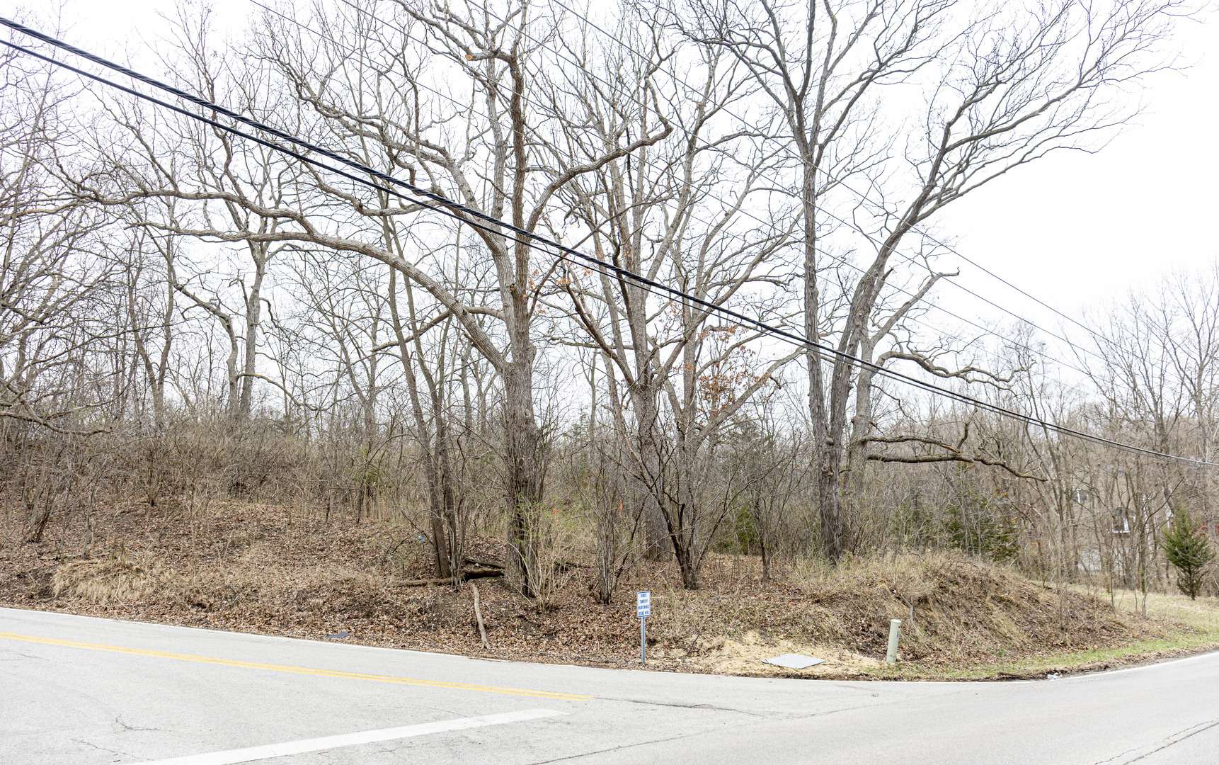 LOT 19 & LOT 18 Williams RD, Lake Marian, IL 60110