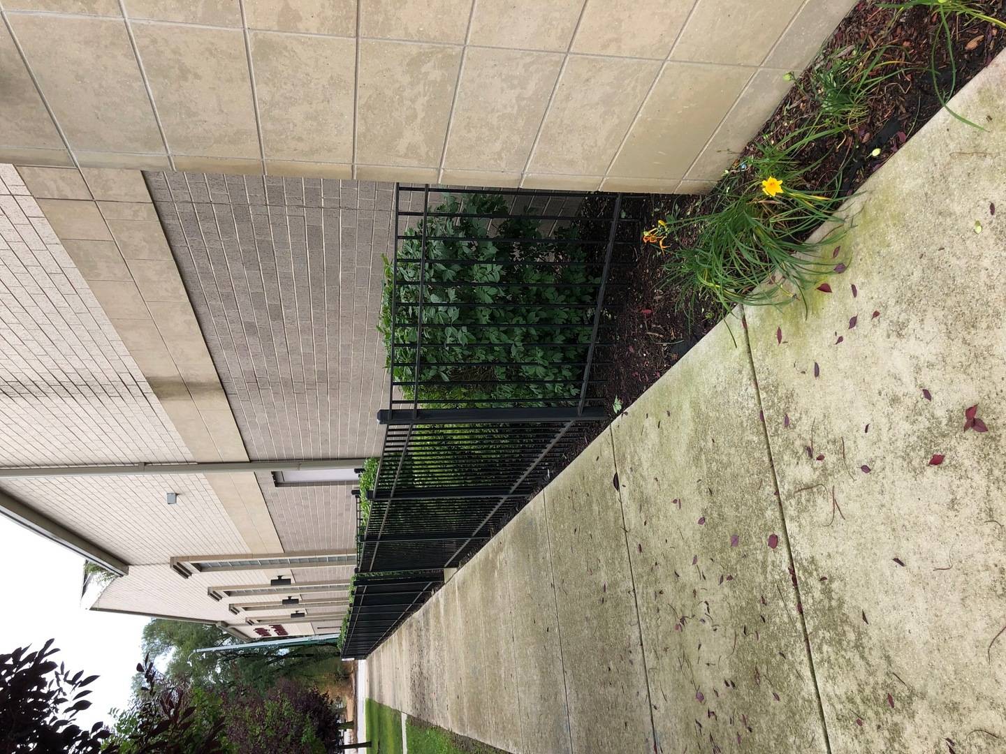 7042 S Princeton ST, Chicago, IL 60621