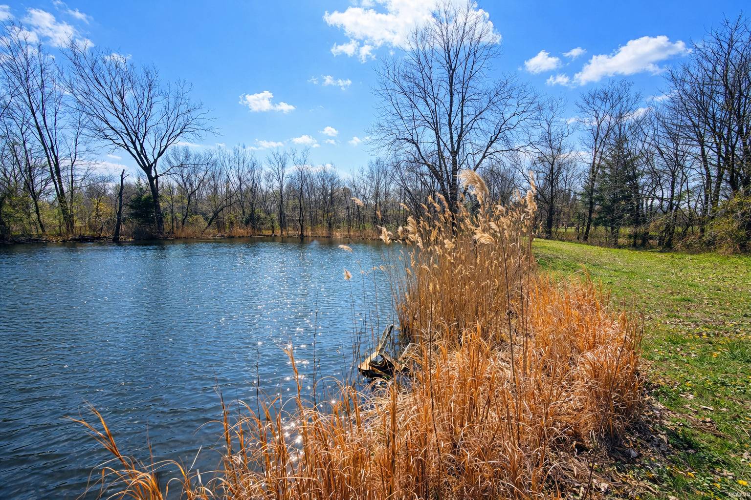 2041 mills cart RD, Salem, IL 62881