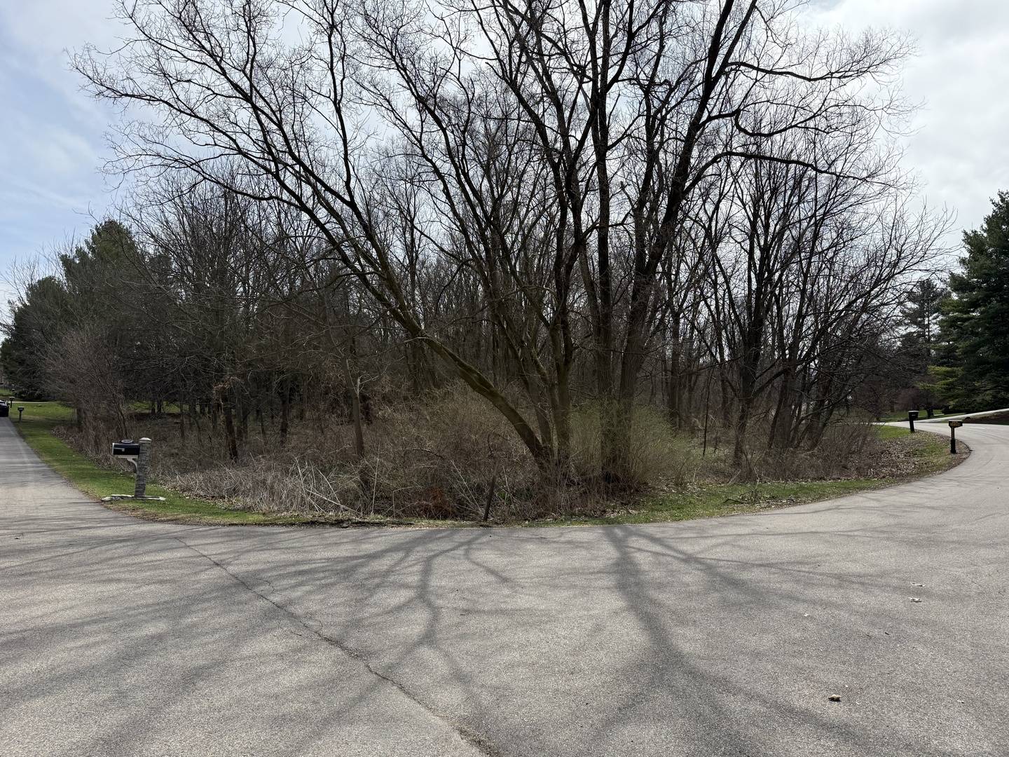 10365 KNIGHTS ARMOR LN, Roscoe, IL 61073