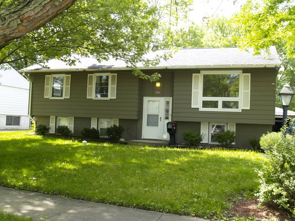 450 E MULBERRY CT, Glenwood, IL 60425
