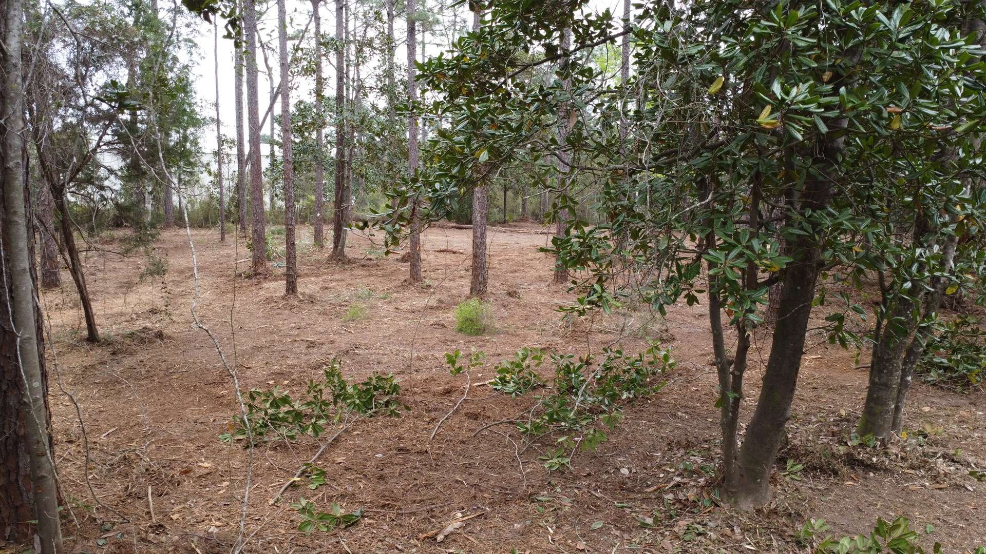 Lot 10 Baldwin ST, Perdido Beach, AL 36530