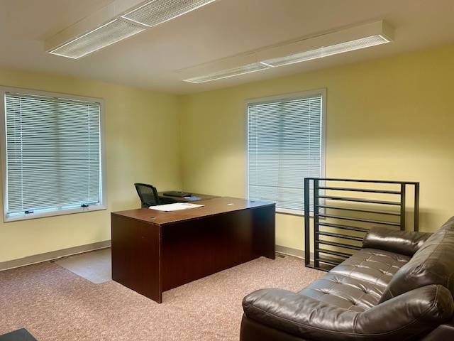 111 S Mcguire DR, Manteno, IL 60950