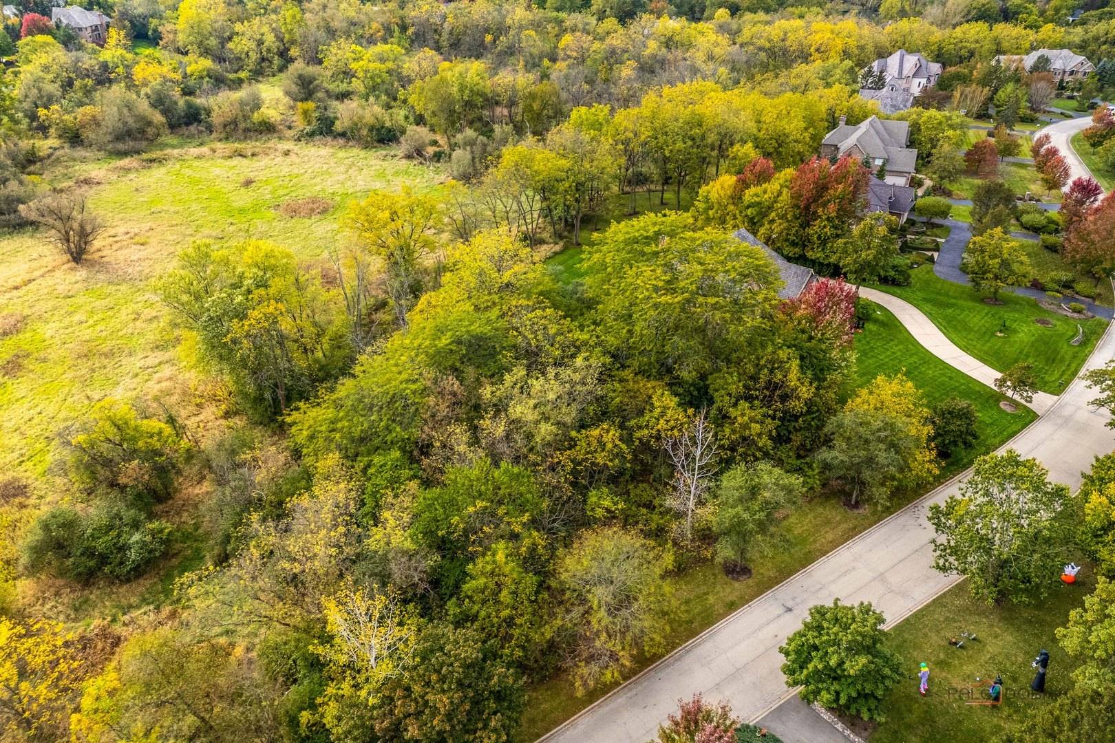 21693 N Tall Oaks DR, Kildeer, IL 60047
