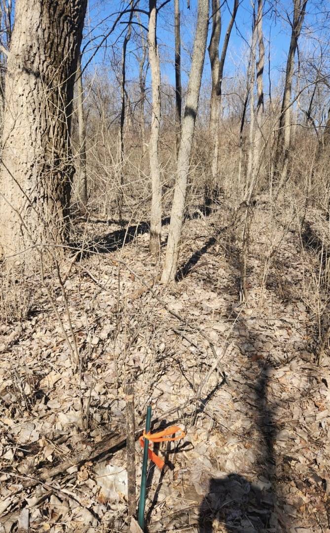 Address not disclosed, Putnam, IL 61560