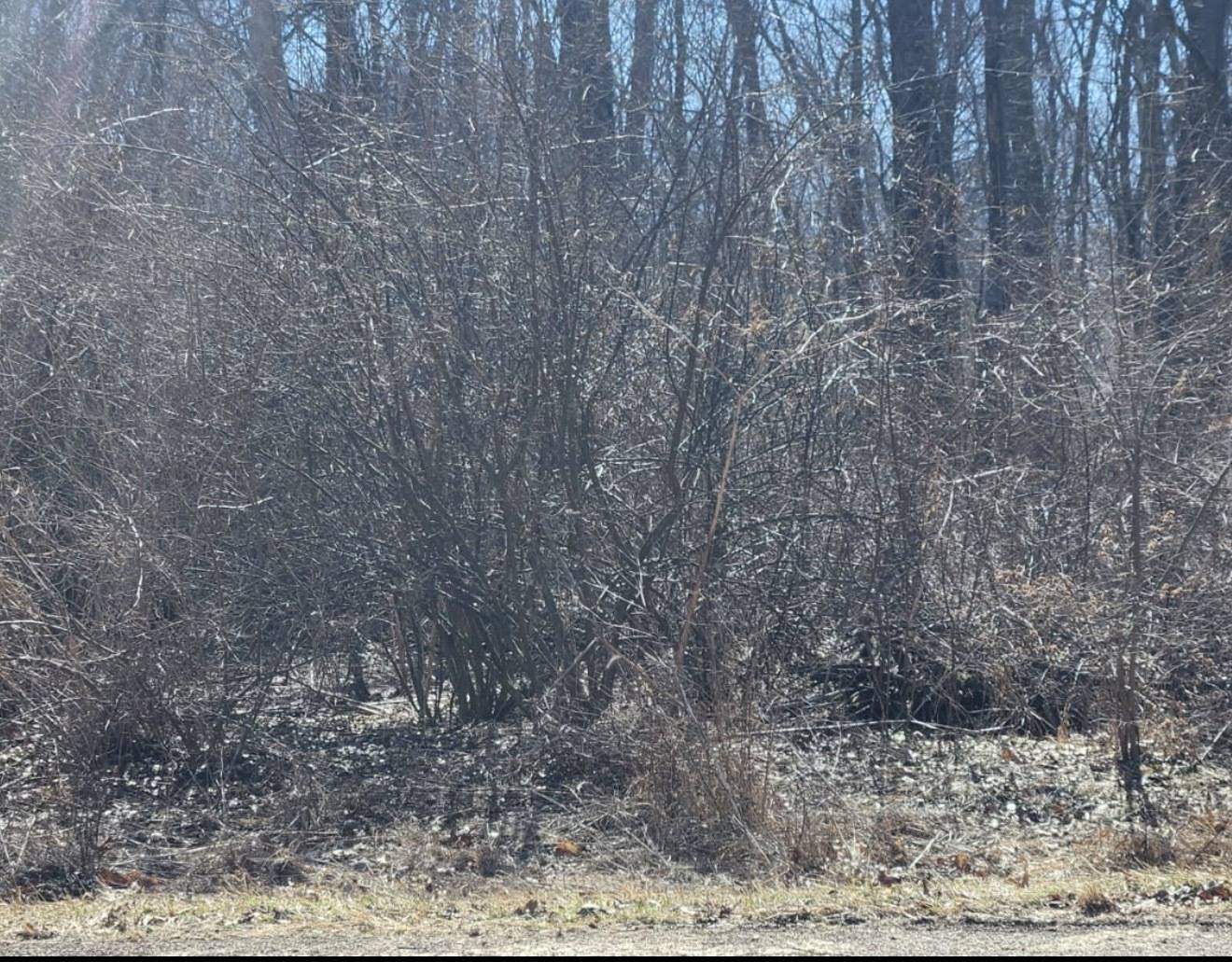 78 Skinner DR, Putnam, IL 61560