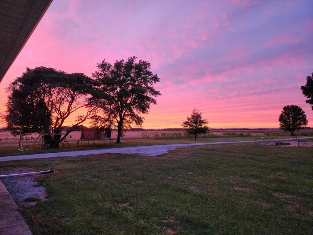 3992 Neunert RD, Jacob, IL 62950