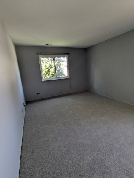 1470 WILLIAMSBURG DR #D2, Schaumburg, IL 60193