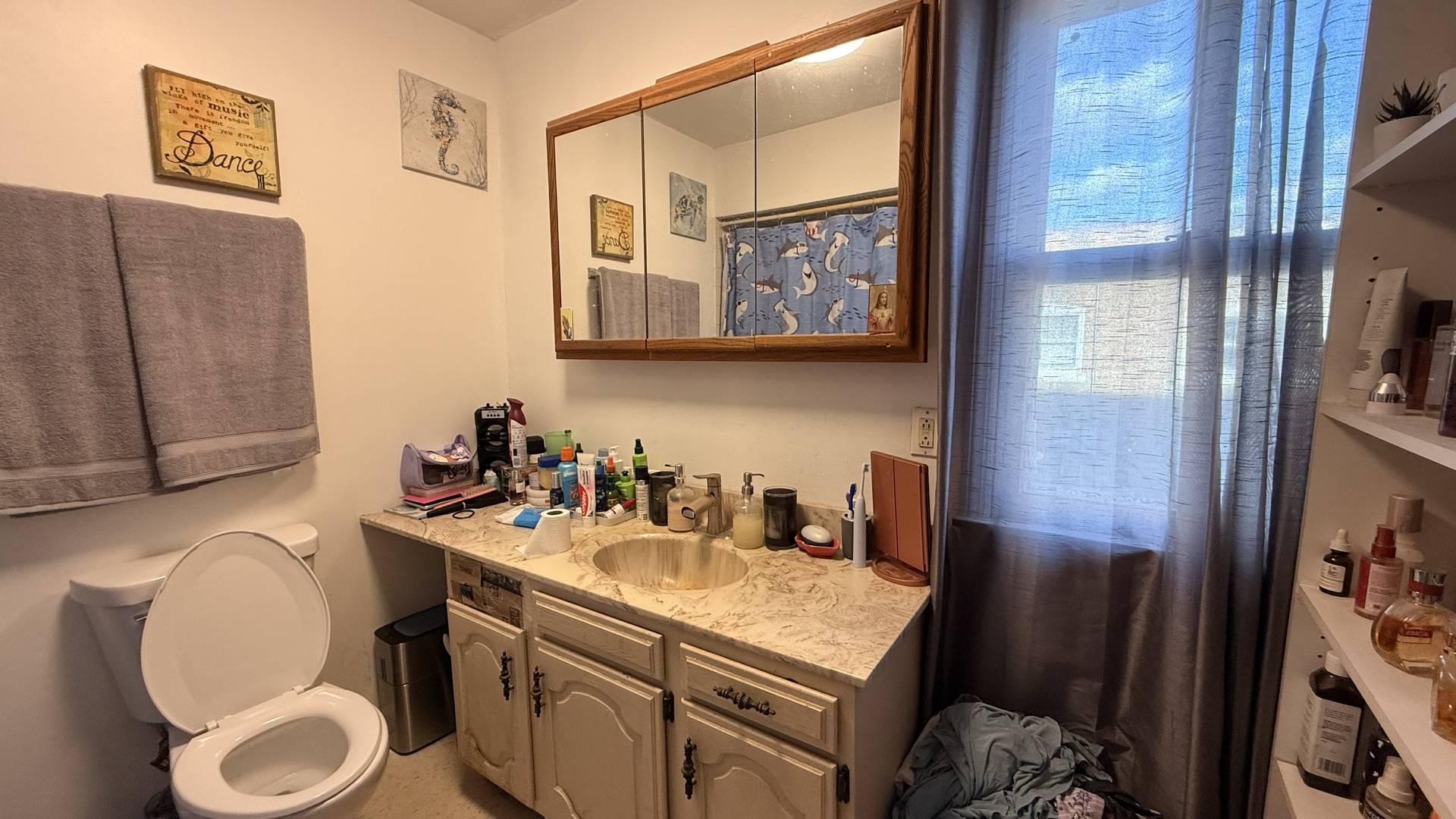 1811 Ogden AVE, Lisle, IL 60532