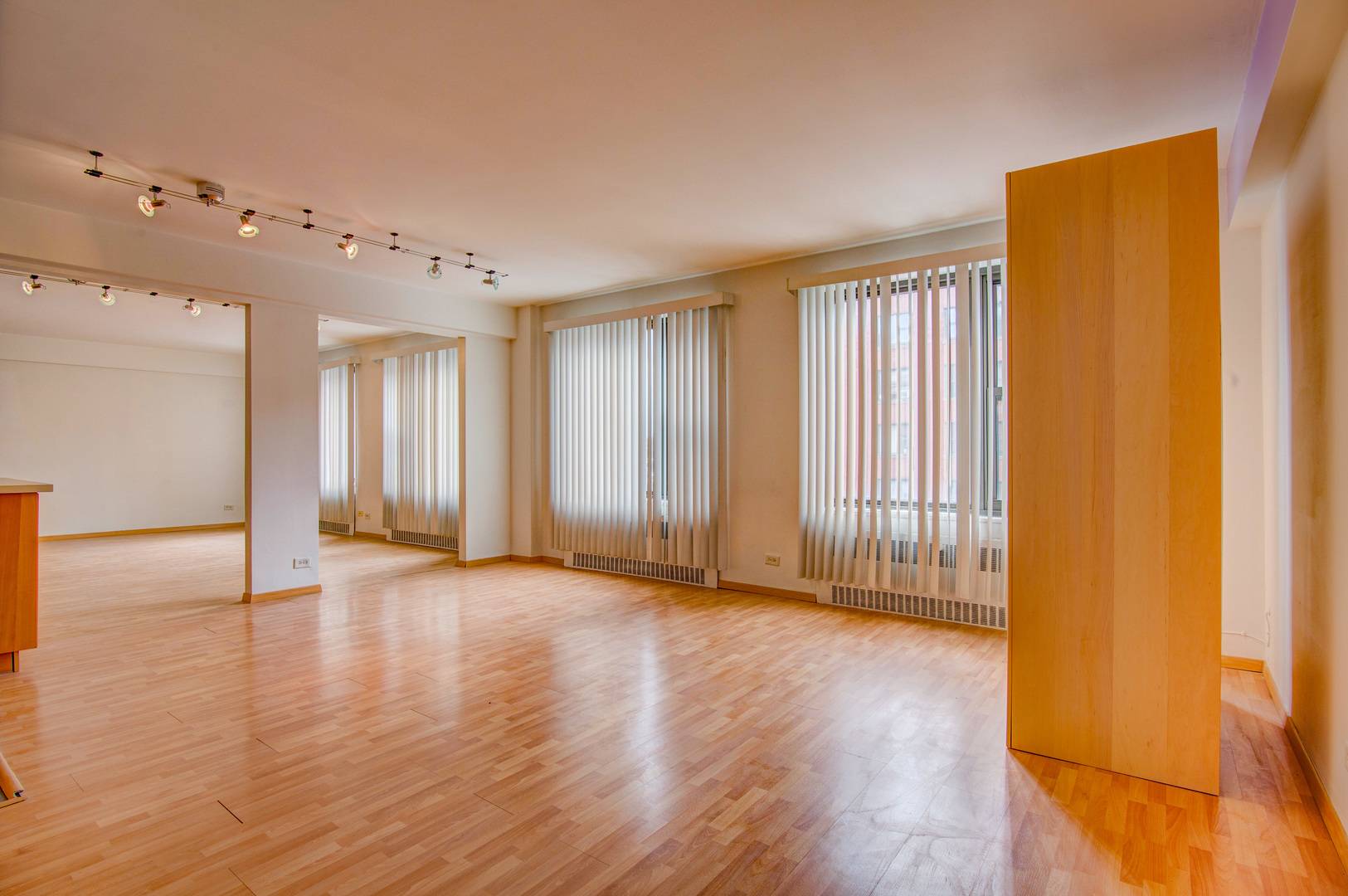 7355 S South Shore DR #305, Chicago, IL 60649