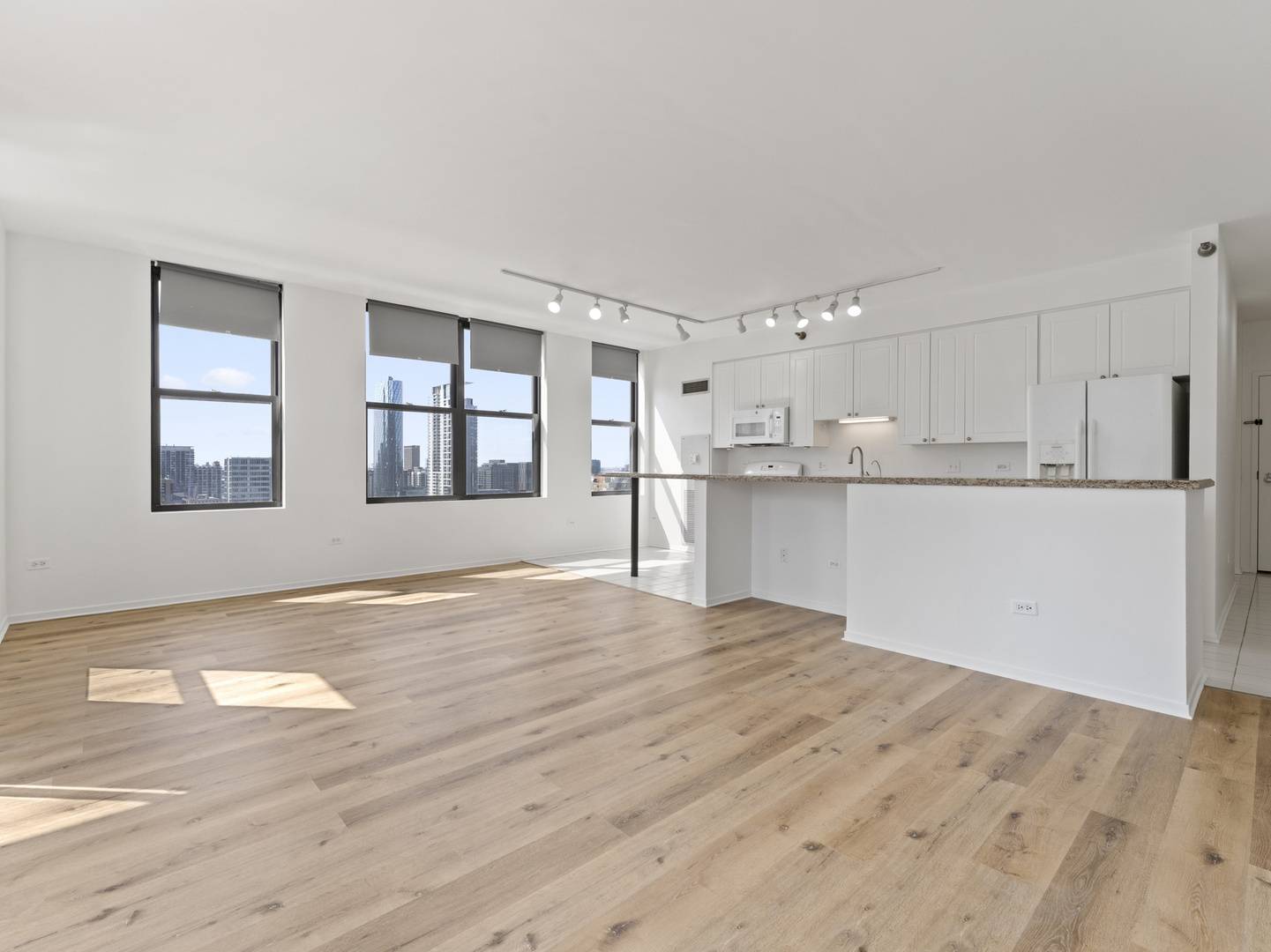 330 N Jefferson ST #1704, Chicago, IL 60661