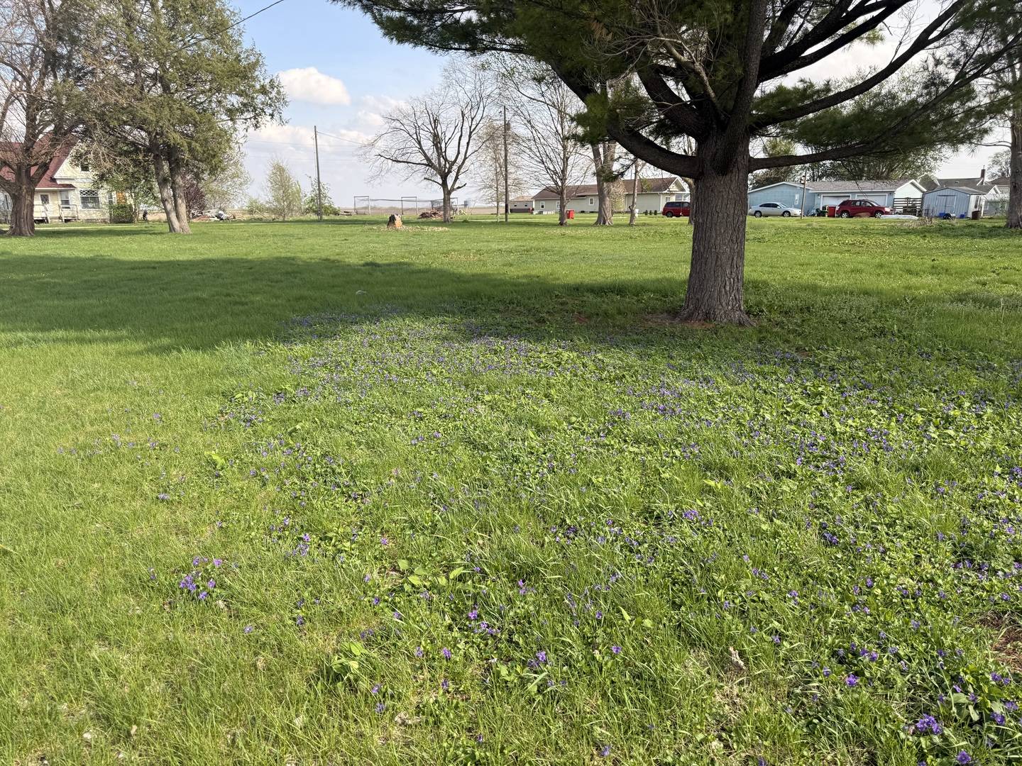 210 N Maple ST, Magnolia, IL 61336