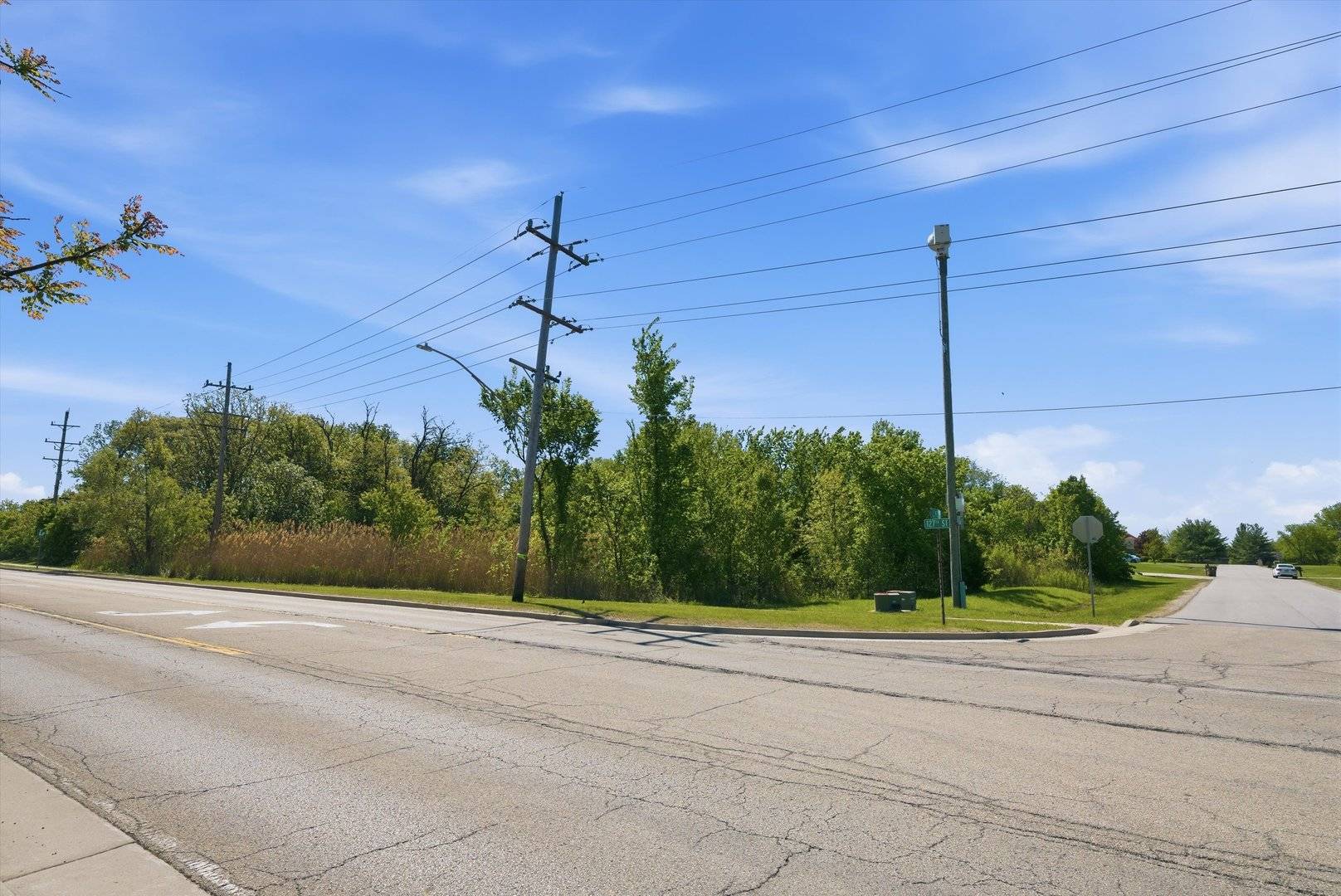 1201 Leinster DR, Lemont, IL 60439