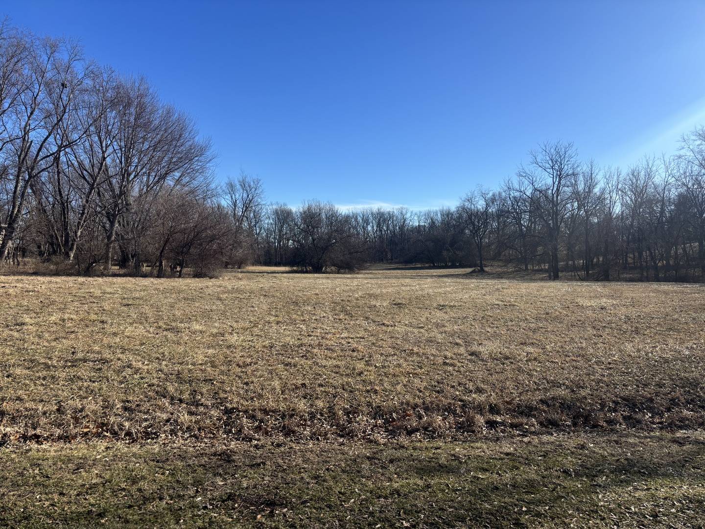 Lot 1473/1474 Chevy Chase DR, Varna, IL 61375