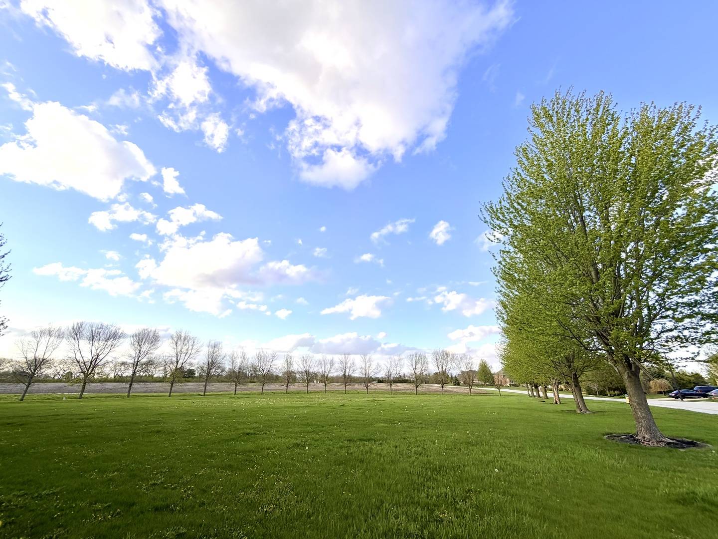 0 MERLOT BLANC CT, Bourbonnais, IL 60914