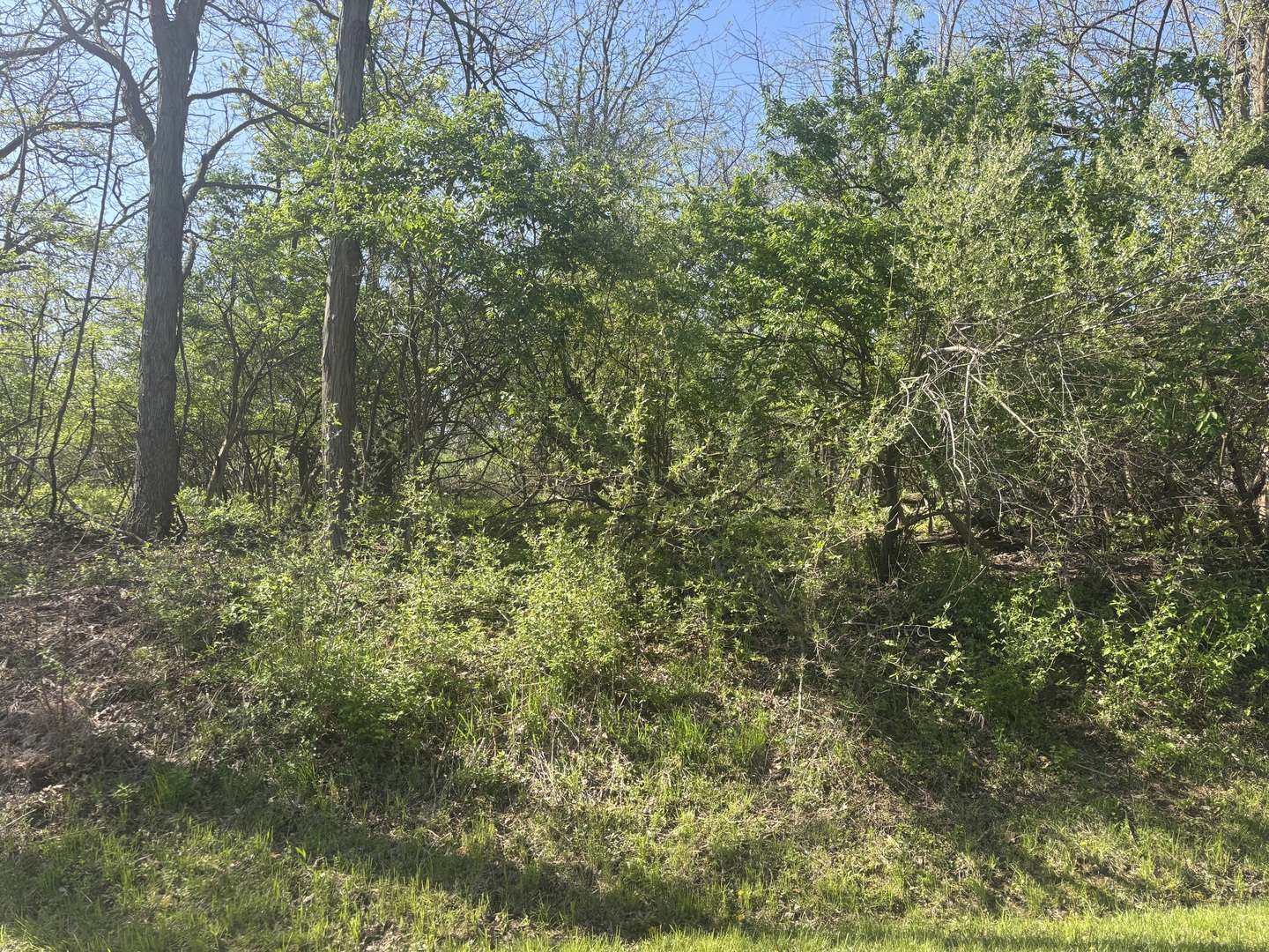 530 Rollingwood PL, Varna, IL 61375