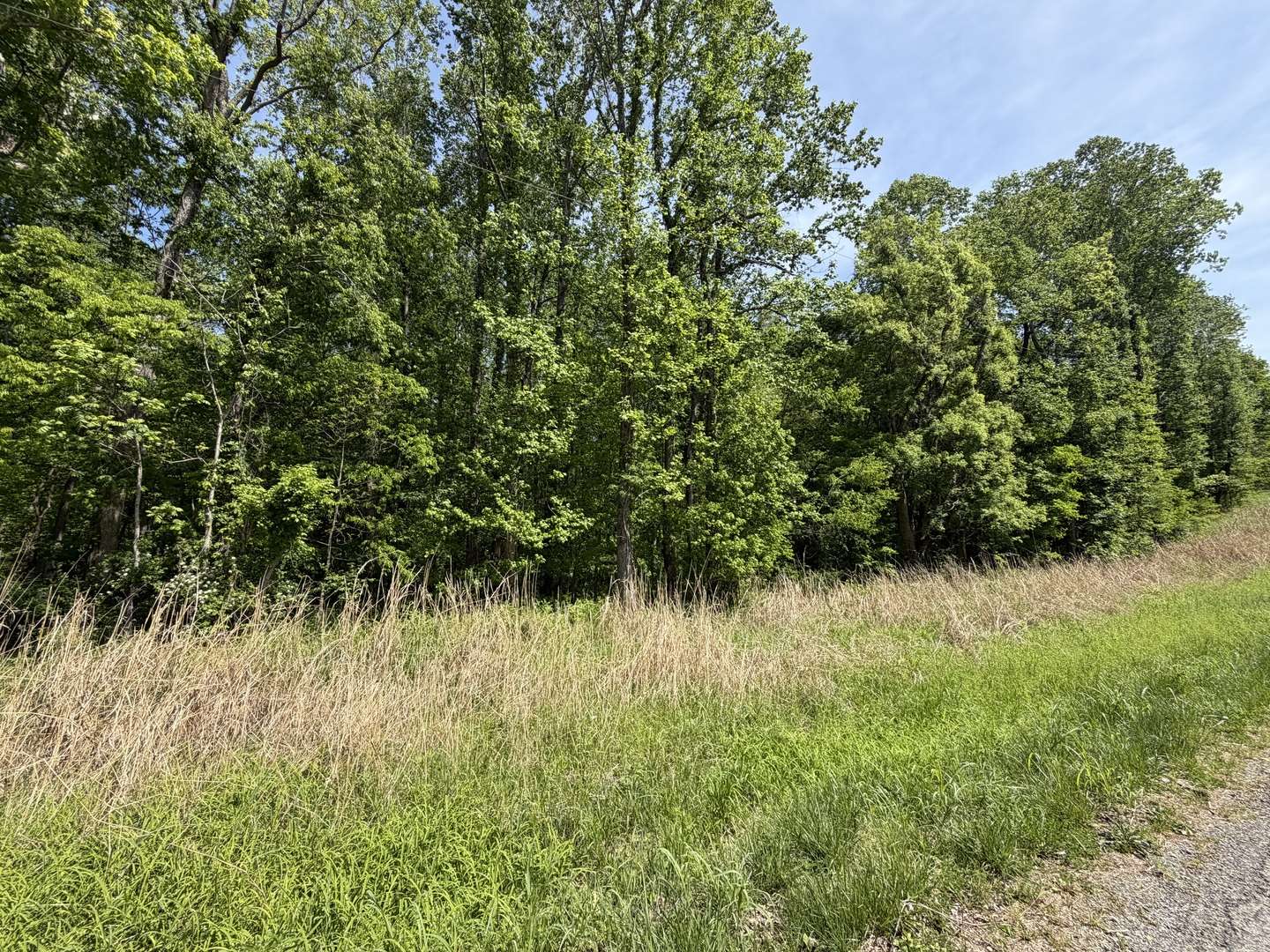 0000 Tower Rock RD, Elizabethtown, IL 62931