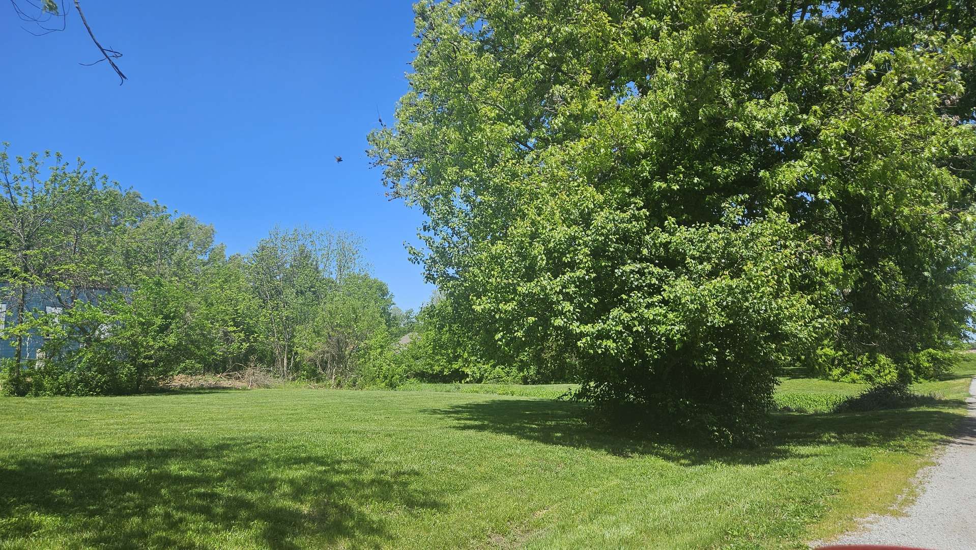 0000 W Main ST, Buckner, IL 62819