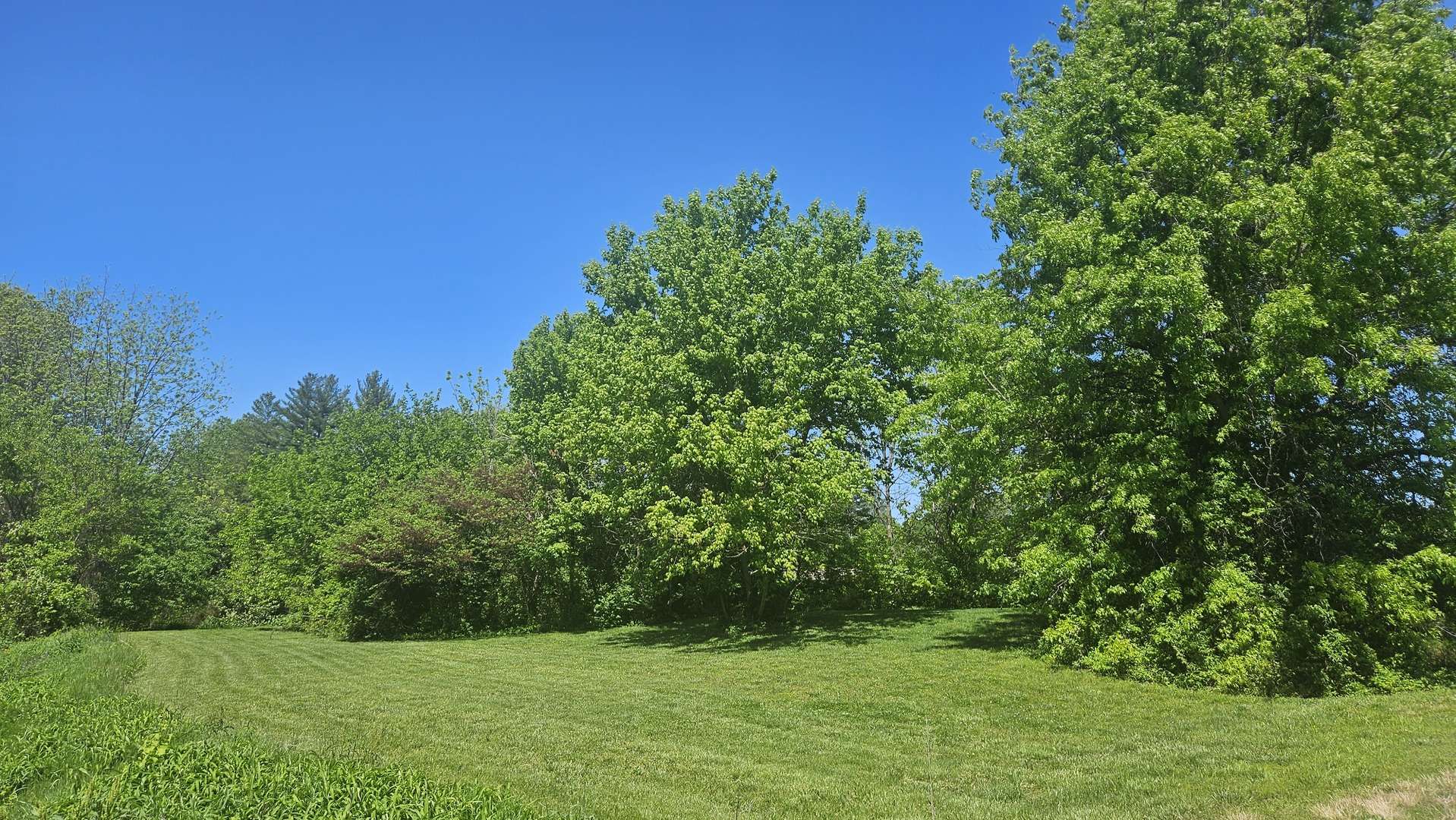 0000 W Main ST, Buckner, IL 62819