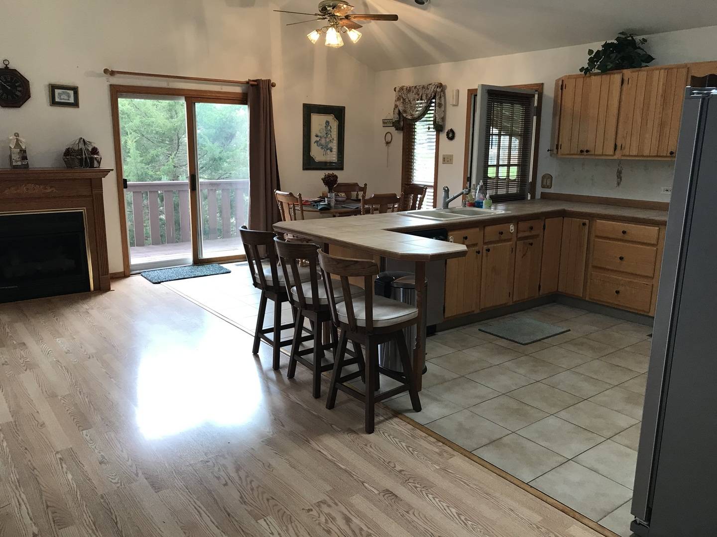 117 Chickasaw LN, Loda, IL 60948