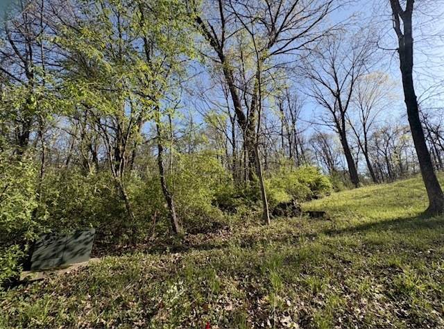 26 Catalina DR, Putnam, IL 61560