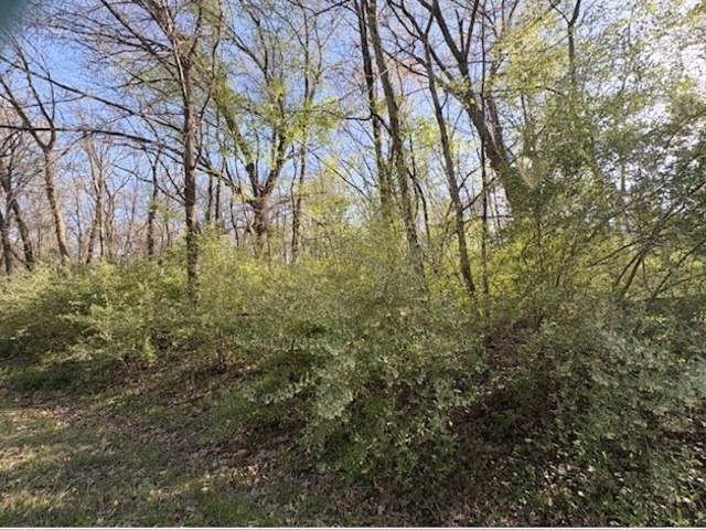 26 Catalina DR, Putnam, IL 61560