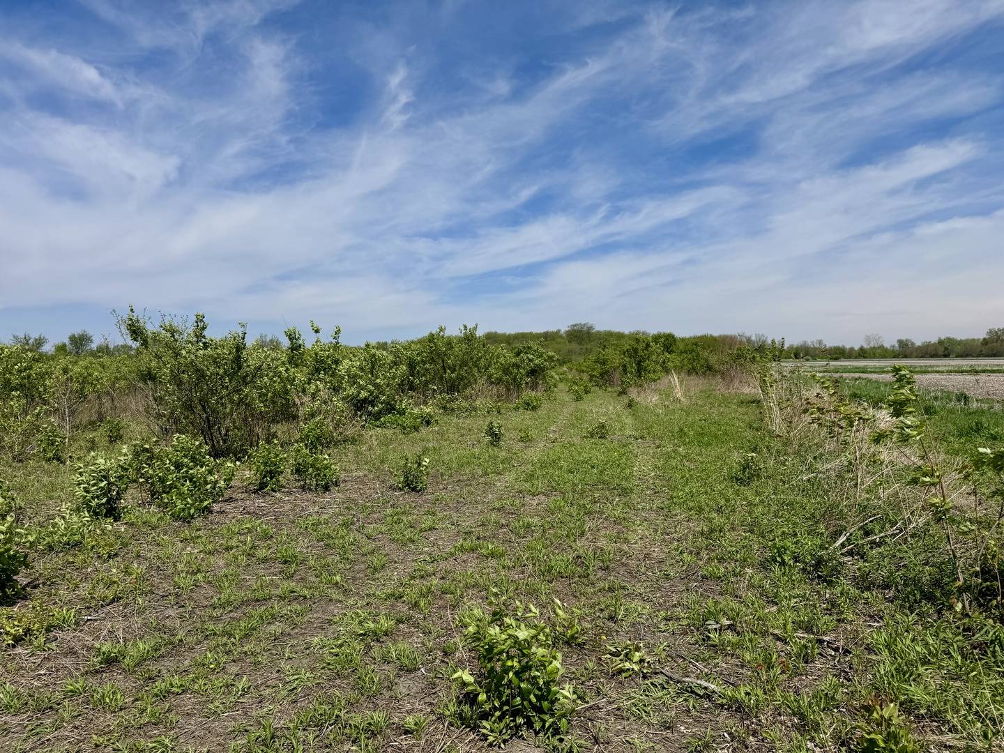 000 Kankakee ST, Reddick, IL 60961