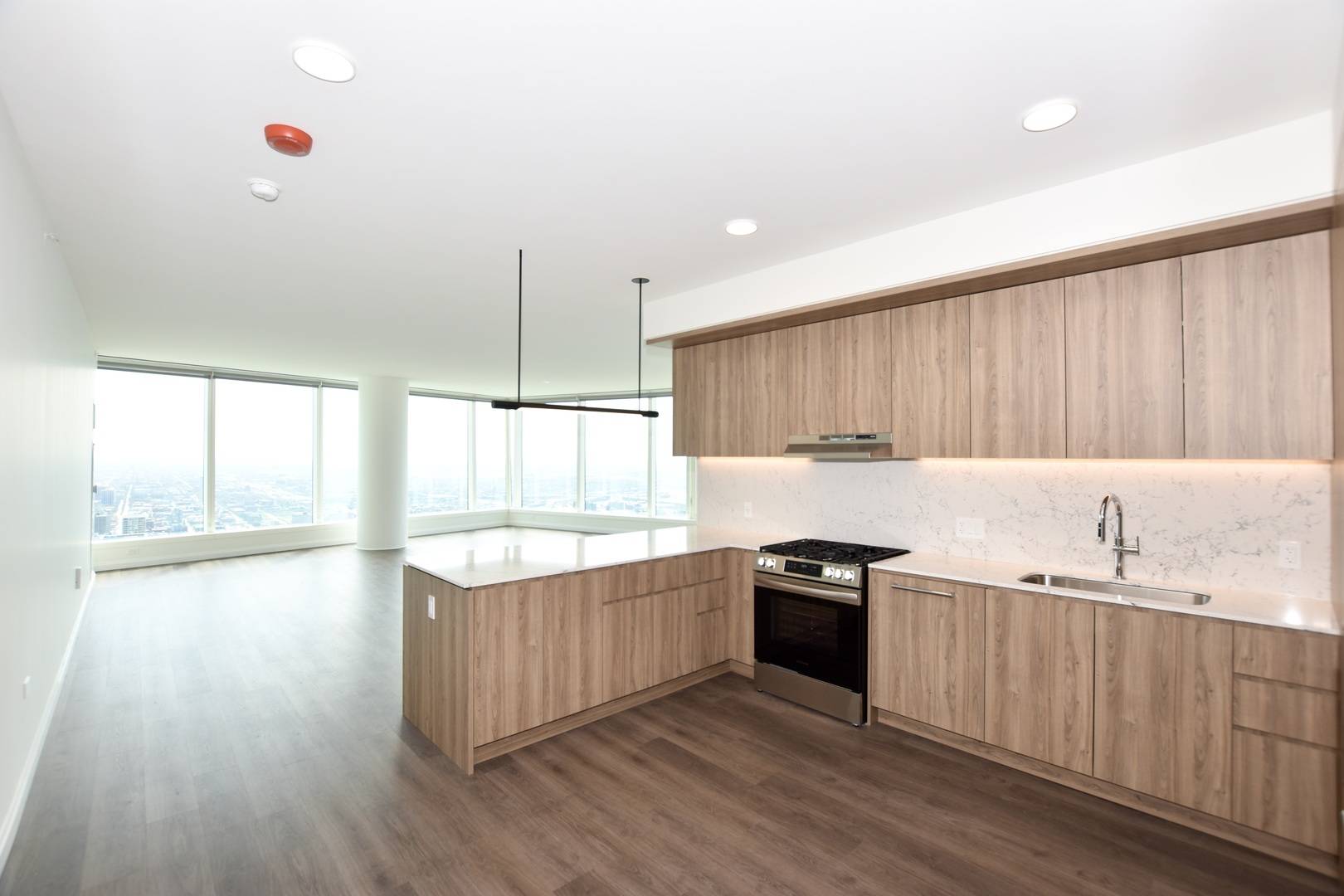 1000 S Michigan AVE #6606, Chicago, IL 60605