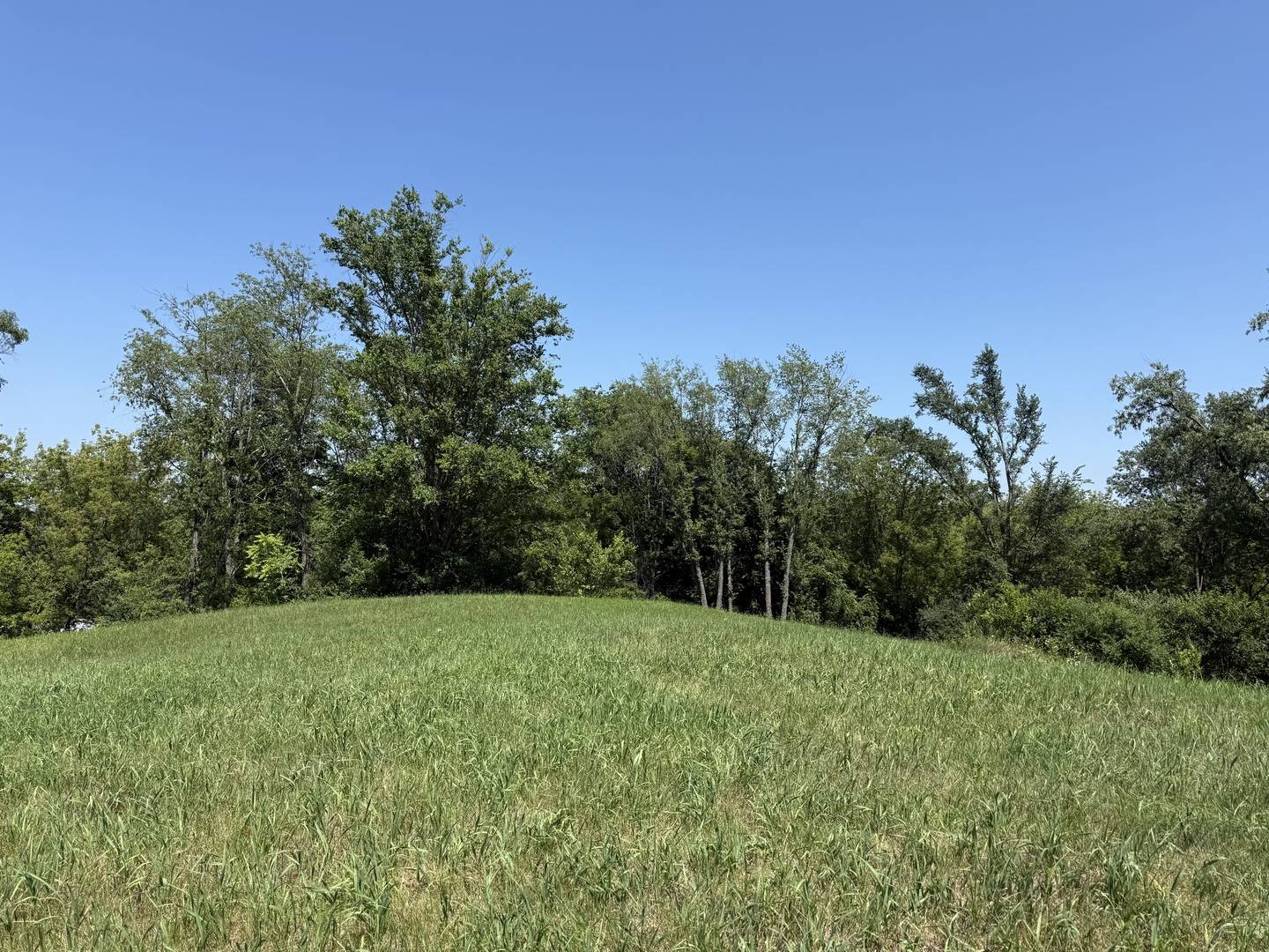 7010 Wildflower CT, Spring Grove, IL 60081