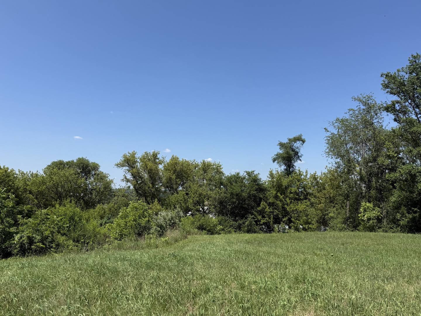 7010 Wildflower CT, Spring Grove, IL 60081