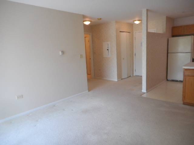 605 Barrington AVE E #340, Dundee, IL 60118