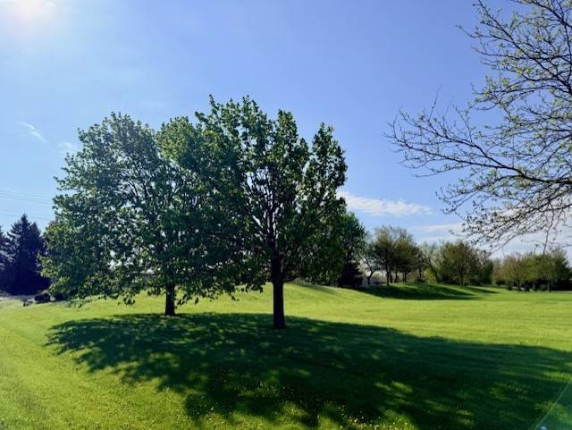 4702 Patty LN, Ringwood, IL 60072