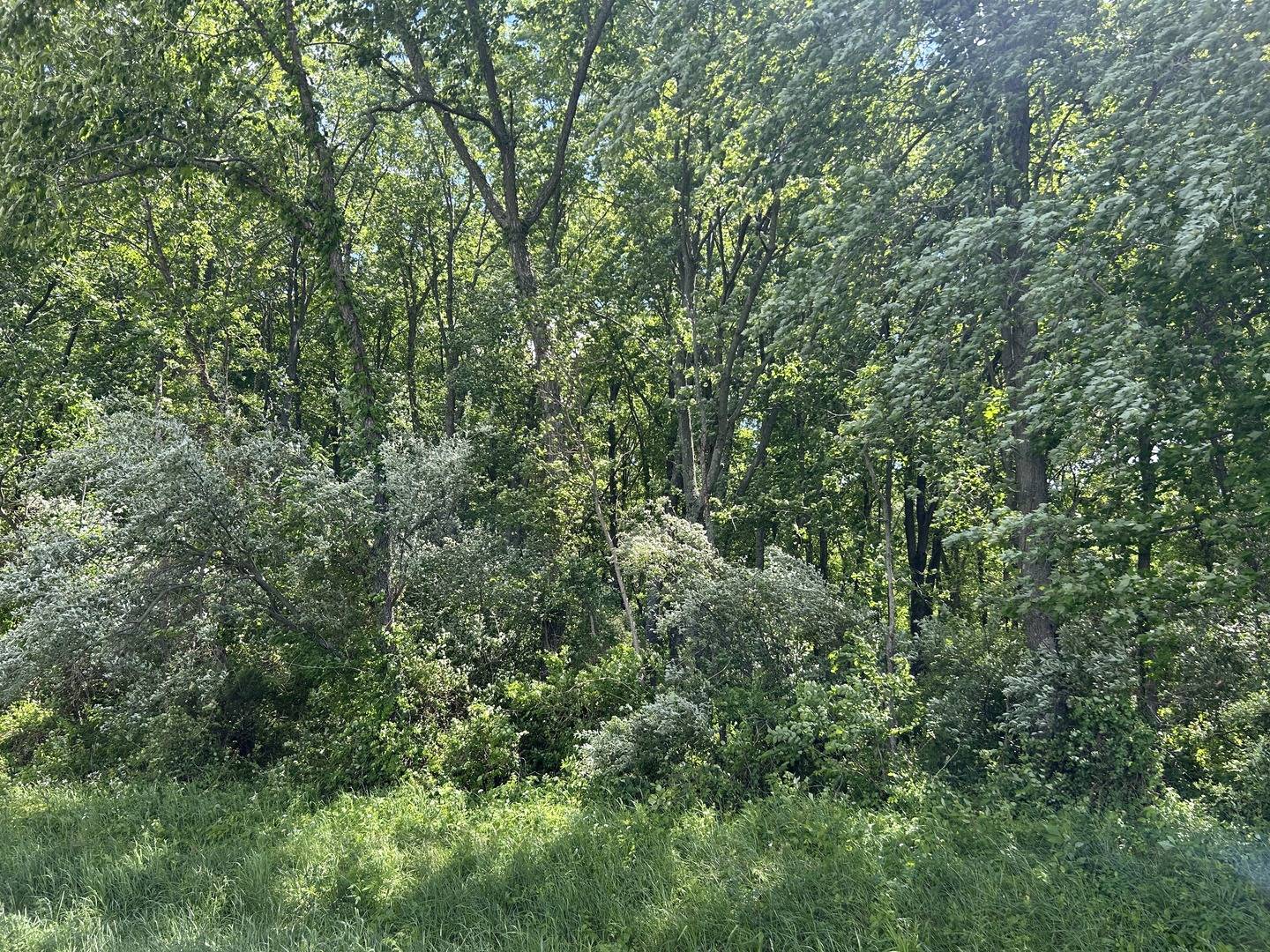 TBD Akin Blacktop, Benton, IL 62812