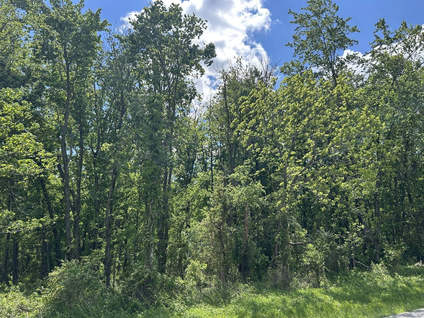 TBD Akin Blacktop, Benton, IL 62812