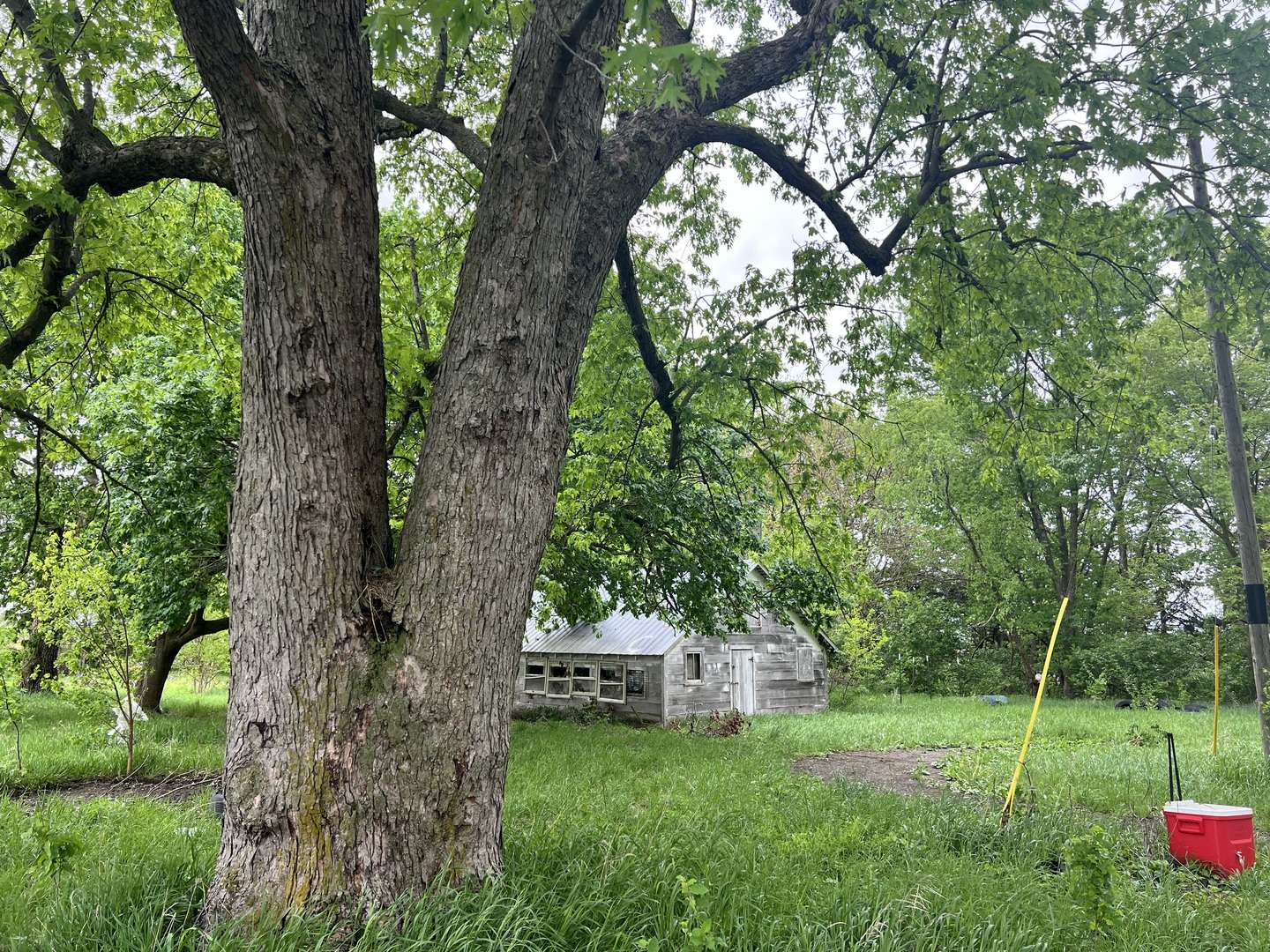 7054 E 4300 RD, Rankin, IL 60960