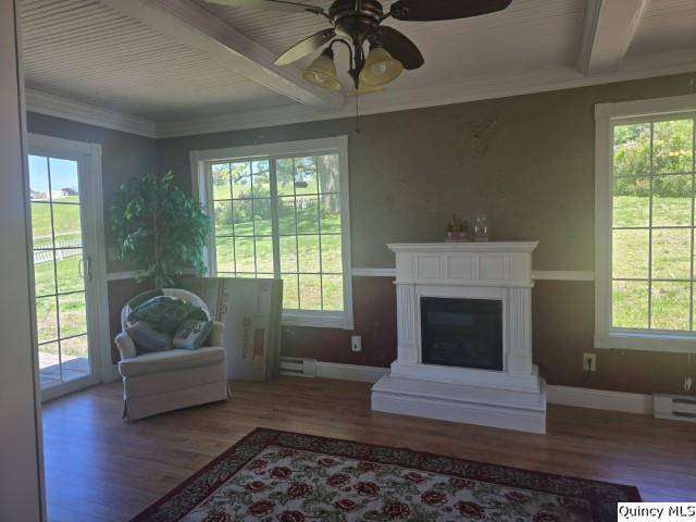 4 Riverview DR, Nauvoo, IL 62354