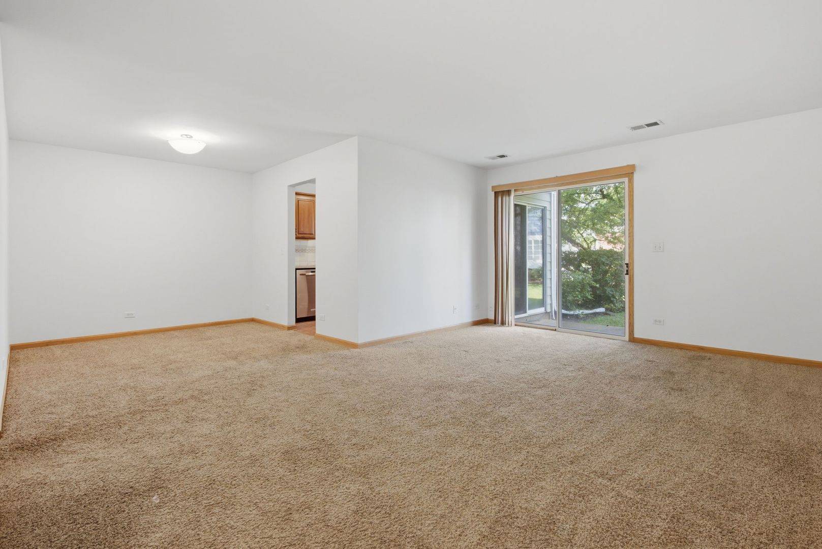 225 Columbia CT #5, Schaumburg, IL 60193