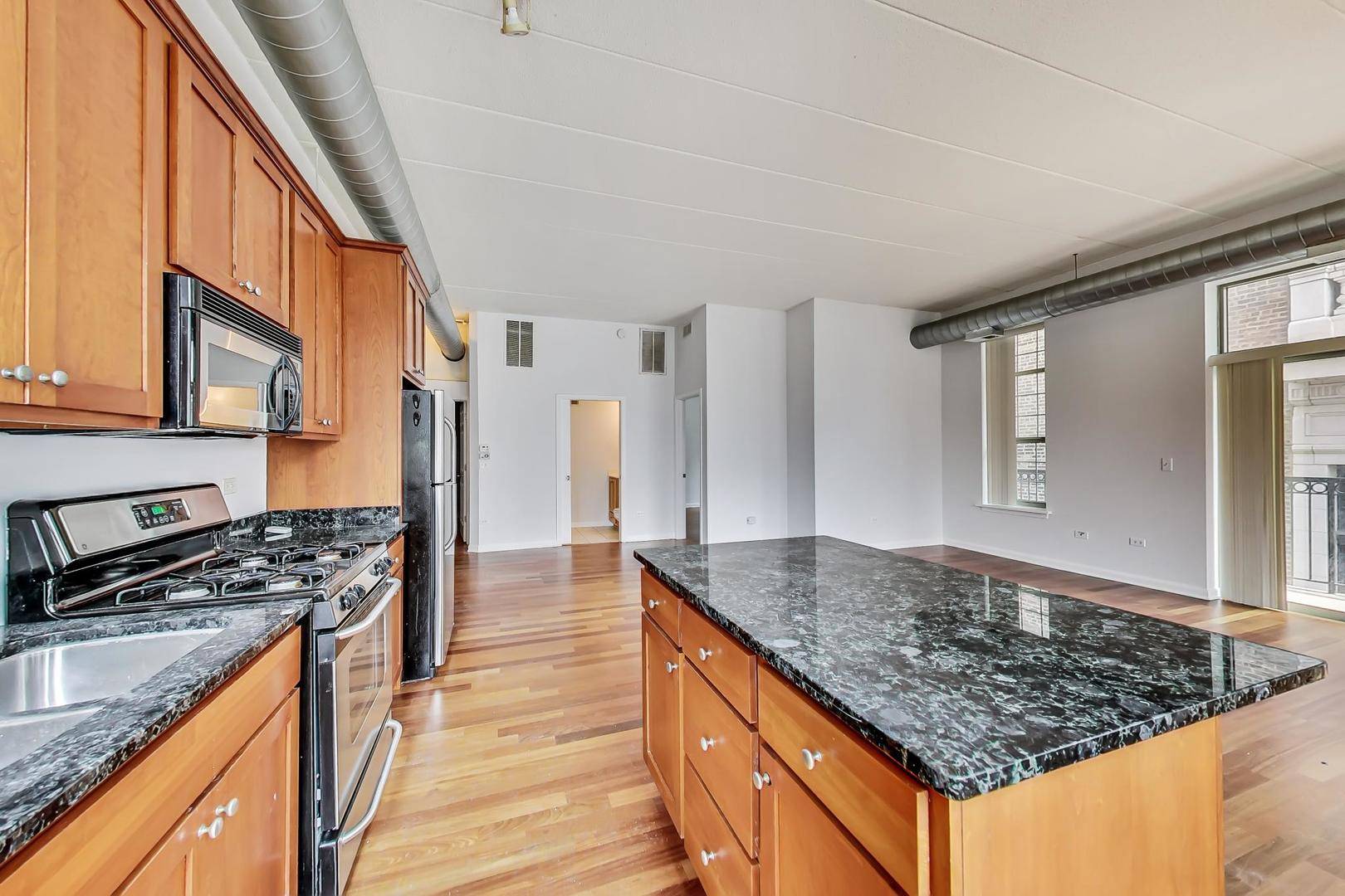 1919 S Michigan AVE #302, Chicago, IL 60616