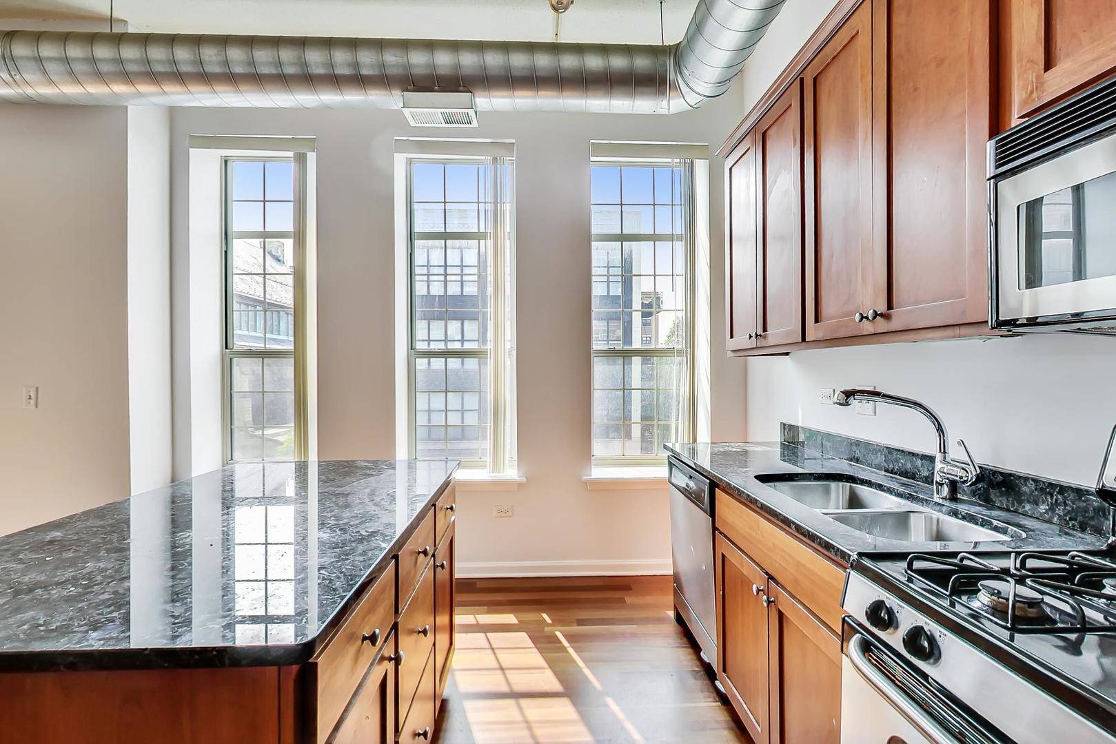1919 S Michigan AVE #302, Chicago, IL 60616