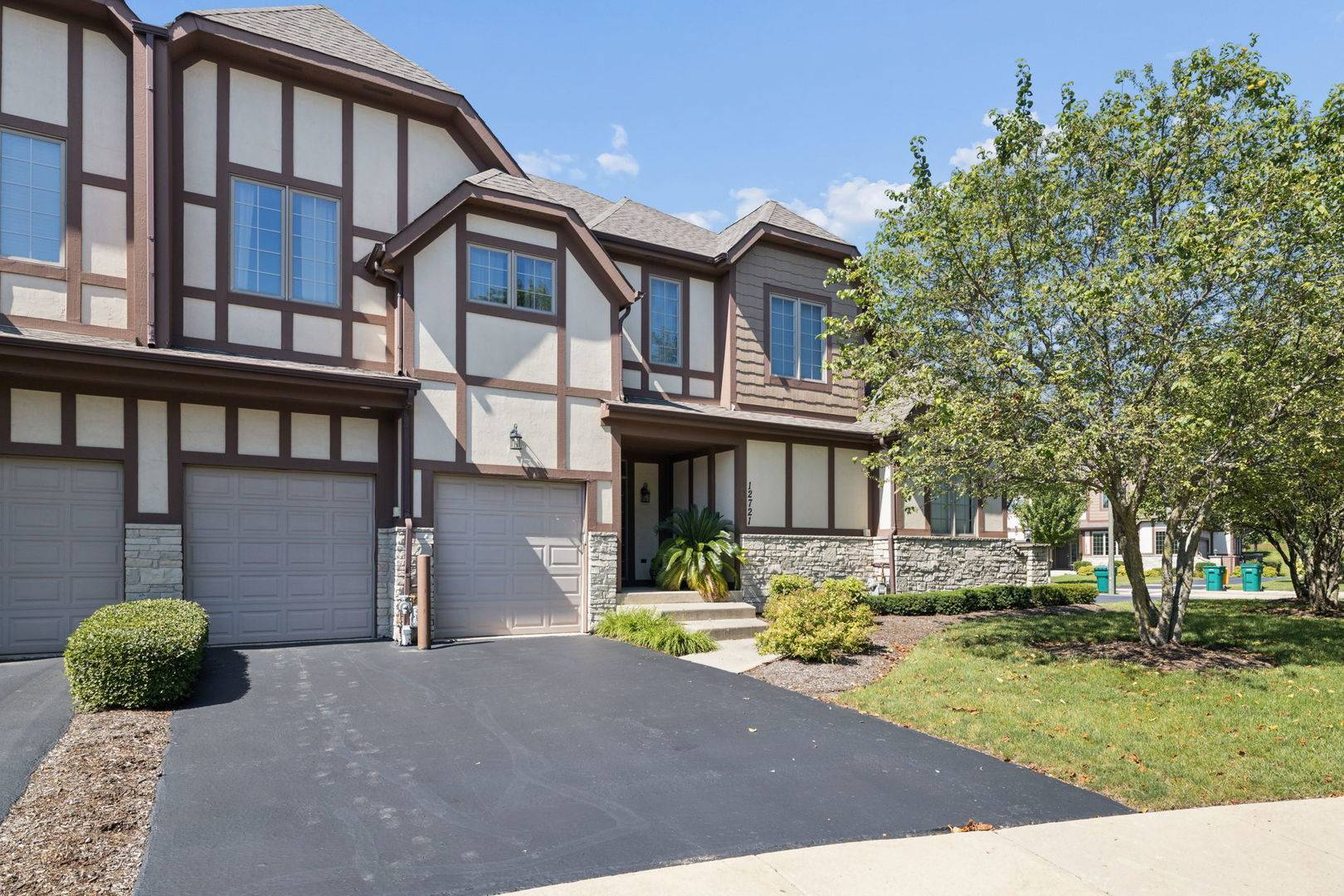 12721 Wild Rye CT #C, Plainfield, IL 60585