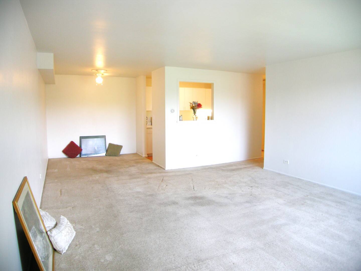 1216 S New Wilke RD #406, Arlington Heights, IL 60005