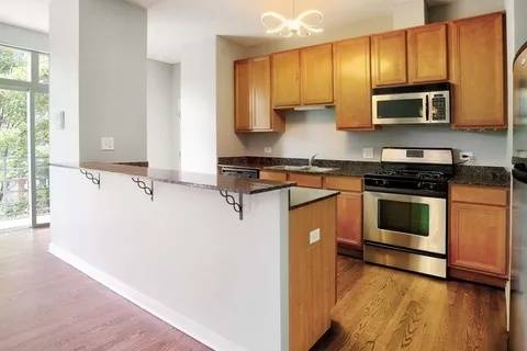 1033 E 46TH ST #406, Chicago, IL 60653